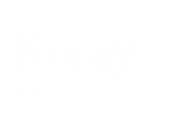 Noray Global